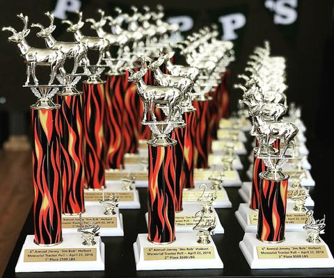 Things To Consider Before Buying Custom Engraved Trophies